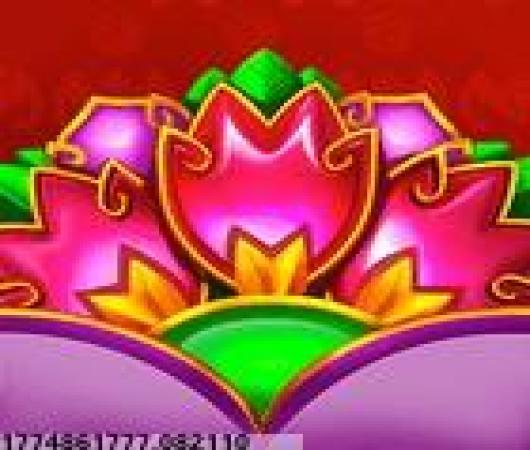 驾校达人3D中文版